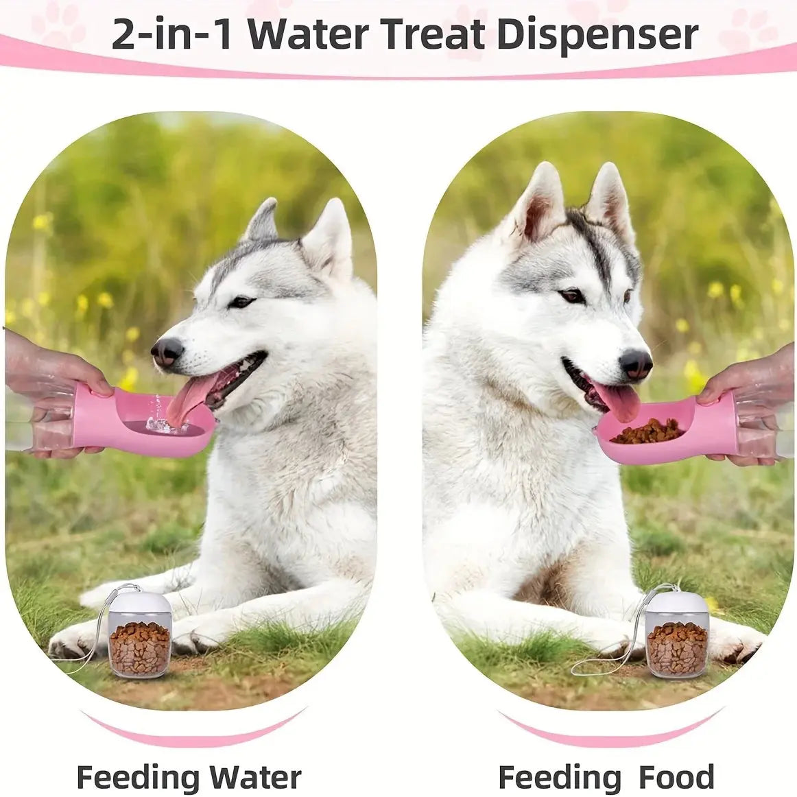 2-in-1 Pet Water Bottle & Food Container for Travel Sahibzada Treasures